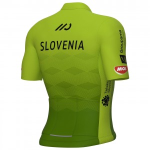 Heren Fietskleding, Ale Frans Elftal 2024 jersey
