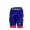 FDJ Pro Team 2021 Korte Fietsbroeken Bib 2021072832